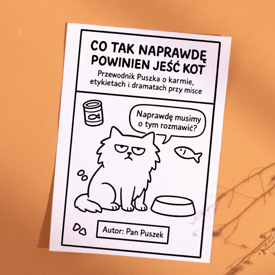 co powinien jeść twój kot?